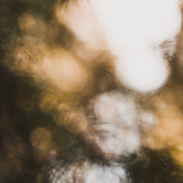 Morning vs. Evening Rituals: How TCM Aligns With Your Natural Clock